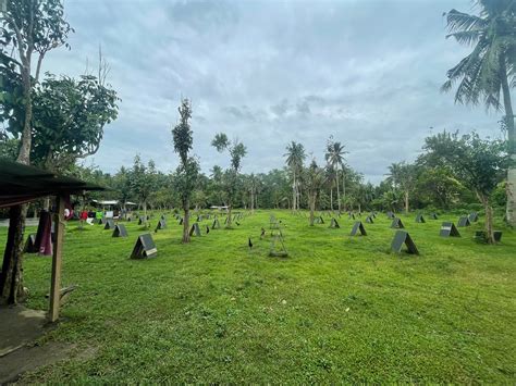 manok panabong farm|101 BACKYARD MANOK PANABONG FOR SALE/ MICROCUT .